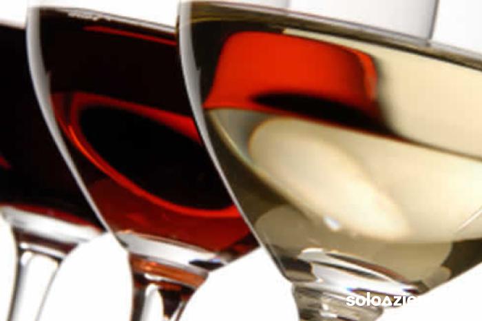 Vendita Ristoranti RISTORANTE PIZZERIA NELLE VICINANZE DI DOLO a Dolo (VE)